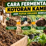 Cara Fermentasi Kotoran